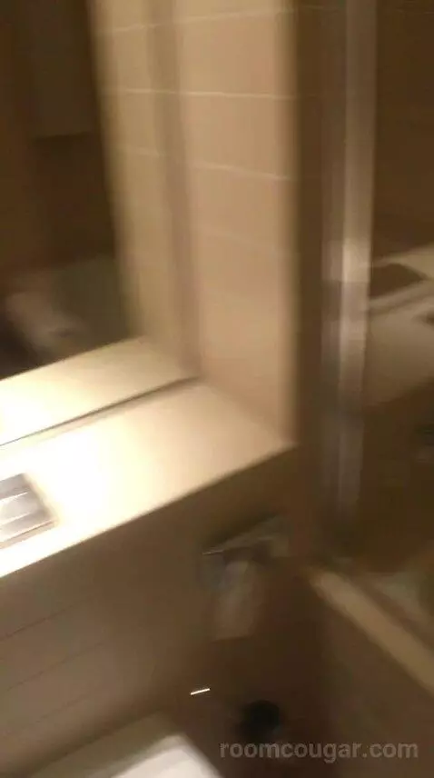 Classic Twin, Guest Room, 2 Twin/Single Bed(s), City View bathroom picture #9