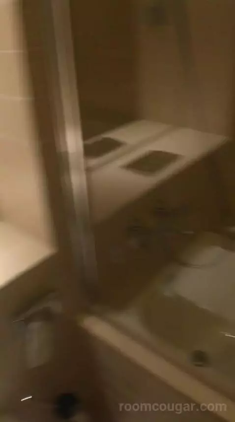 Classic Twin, Guest Room, 2 Twin/Single Bed(s), City View bathroom picture #10