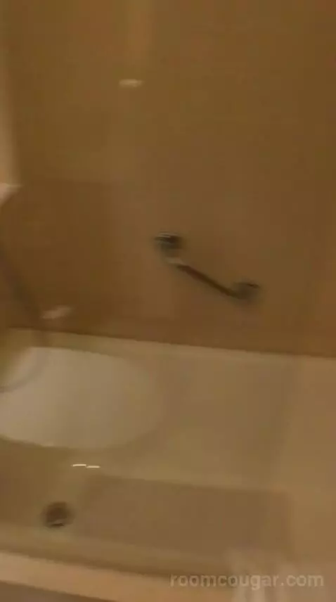 Classic Twin, Guest Room, 2 Twin/Single Bed(s), City View bathroom picture #12