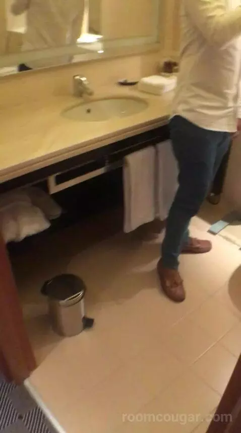 Classic Twin, Guest Room, 2 Twin/Single Bed(s), City View bathroom picture #3