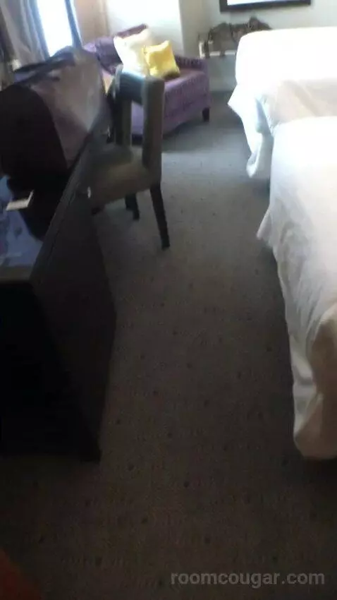 Classic Twin, Guest Room, 2 Twin/Single Bed(s), City View picture #24