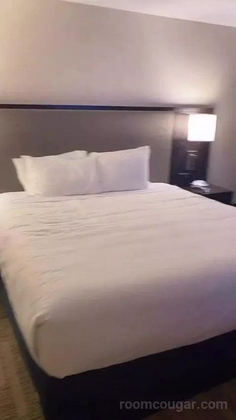 King Room with Bay View bed picture #7
