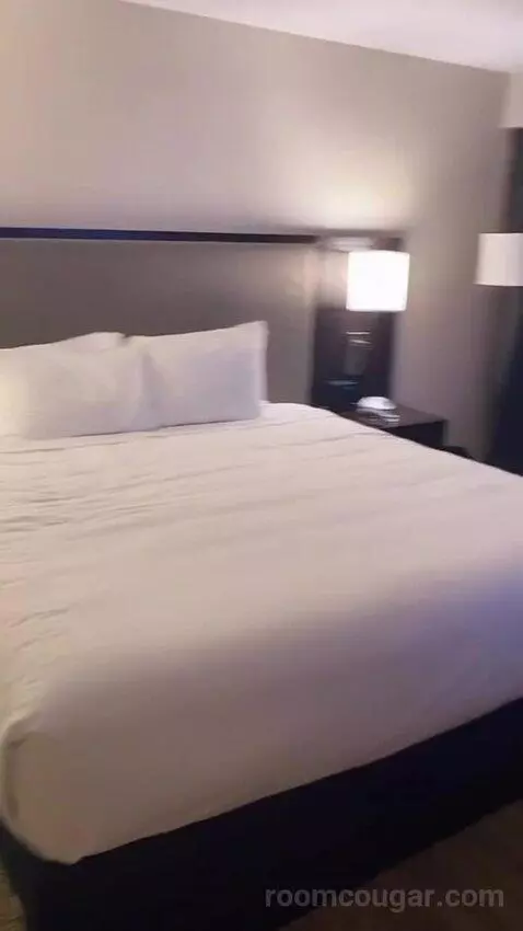 King Room with Bay View bed picture #8
