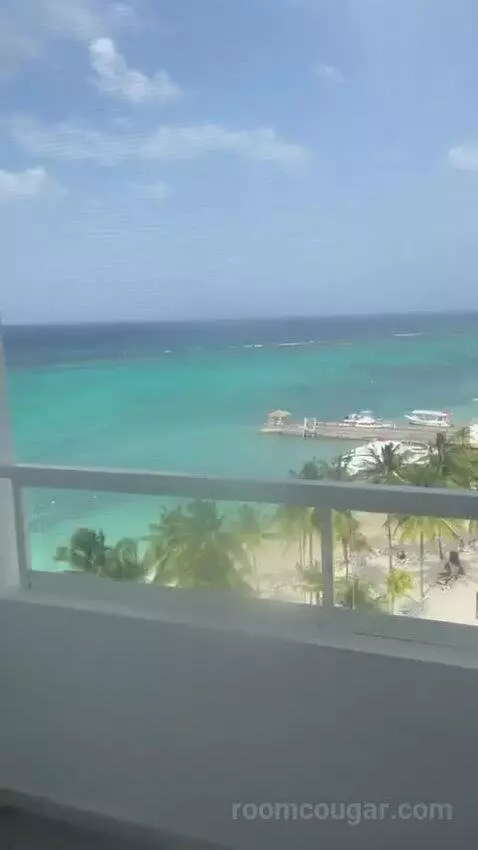 Junior Suite Ocean View view picture #3
