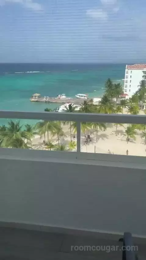 Junior Suite Ocean View view picture #5
