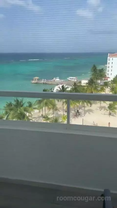 Junior Suite Ocean View picture #21