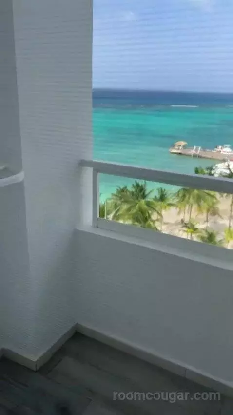 Junior Suite Ocean View view picture #8