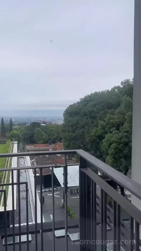 Deluxe Twin City View with Balcony view picture #8