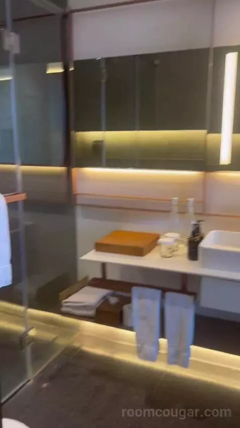 Deluxe Twin City View with Balcony bathroom picture #1