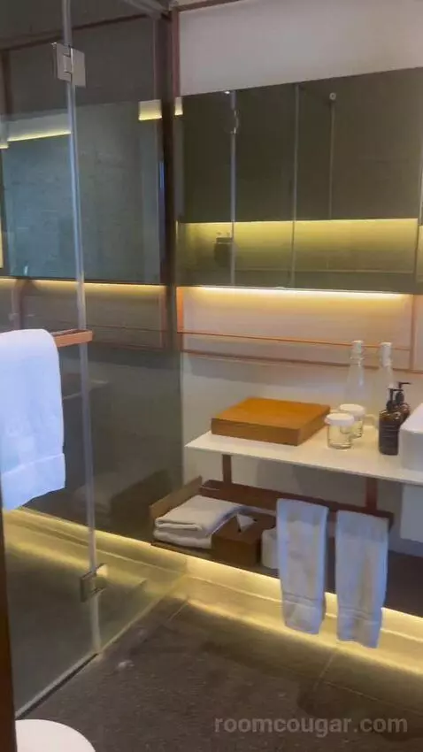 Deluxe Twin City View with Balcony bathroom picture #2