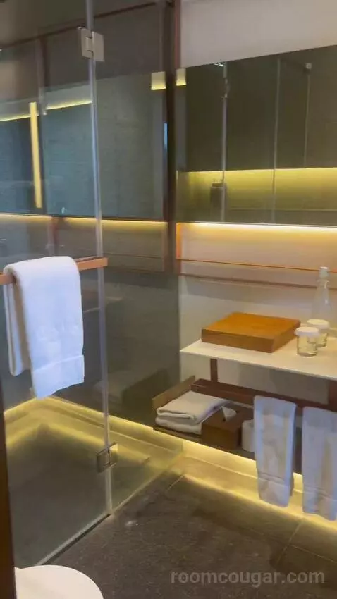 Deluxe Twin City View with Balcony bathroom picture #3