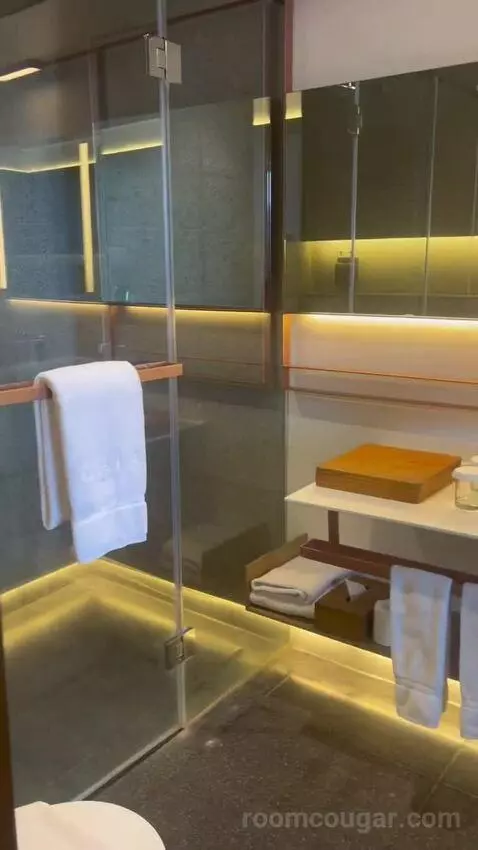 Deluxe Twin City View with Balcony bathroom picture #4