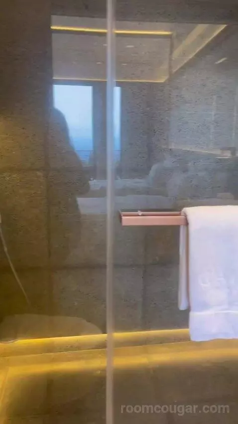 Deluxe Twin City View with Balcony bathroom picture #7