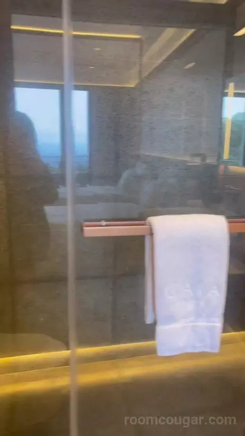 Deluxe Twin City View with Balcony bathroom picture #8