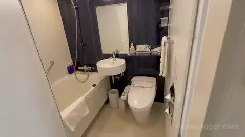 Double Room bathroom picture #1