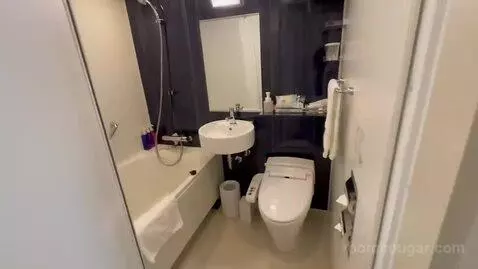 Double Room bathroom picture #3