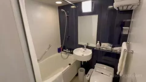 Double Room bathroom picture #4