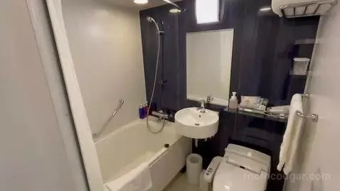 Double Room bathroom picture #5