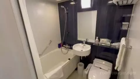 Double Room bathroom picture #6