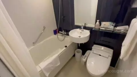 Double Room bathroom picture #7