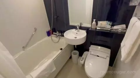 Double Room bathroom picture #9