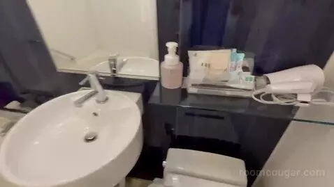 Double Room bathroom picture #11