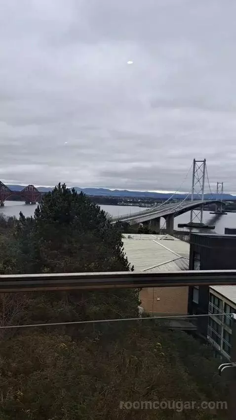 Standard view picture #1