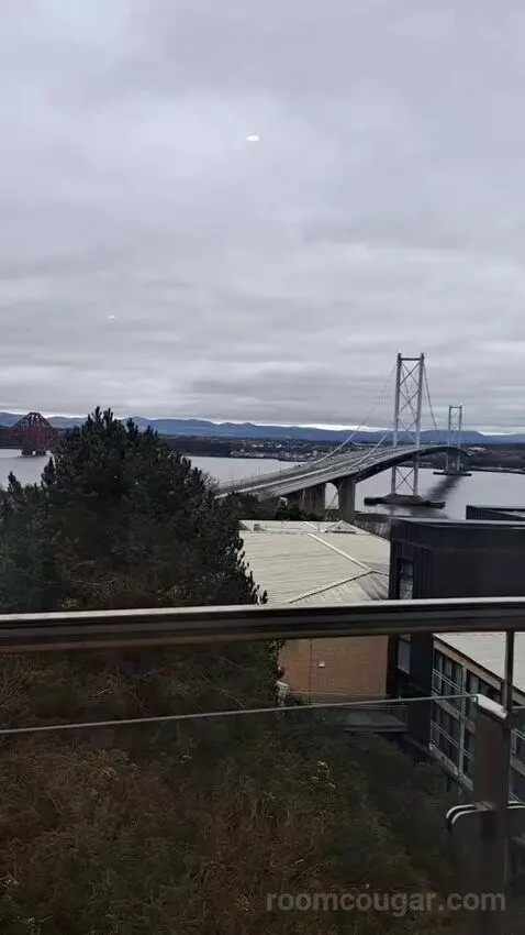 Standard view picture #5