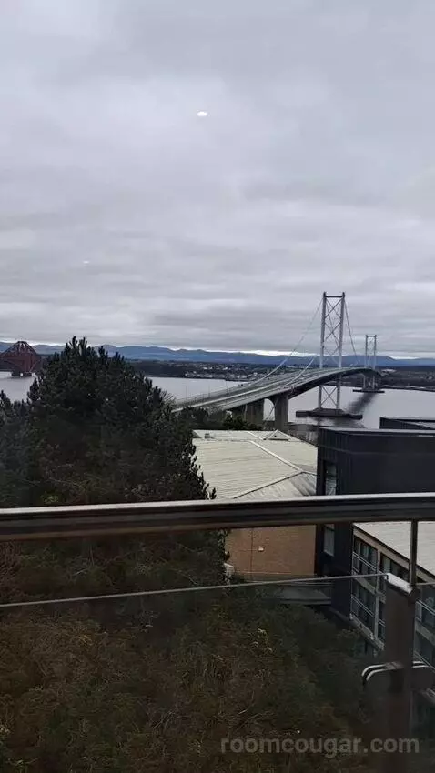 Standard view picture #6
