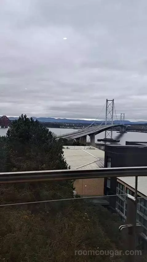 Standard view picture #7