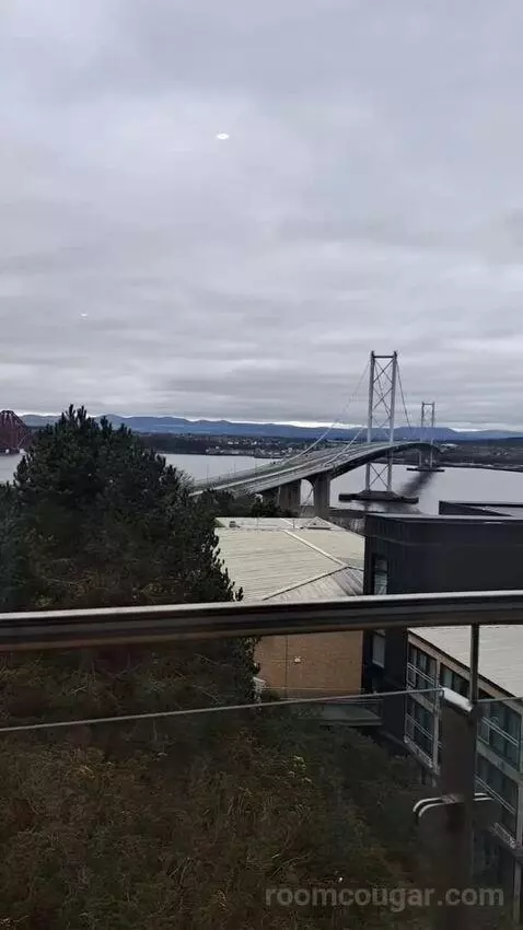 Standard view picture #8