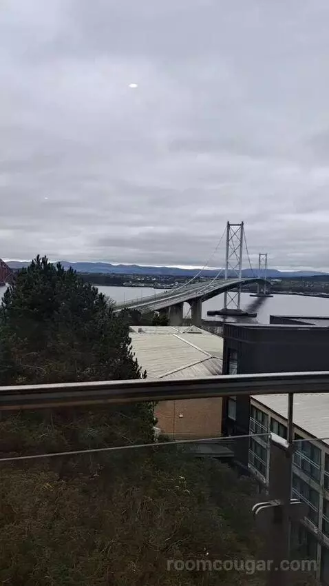 Standard view picture #9