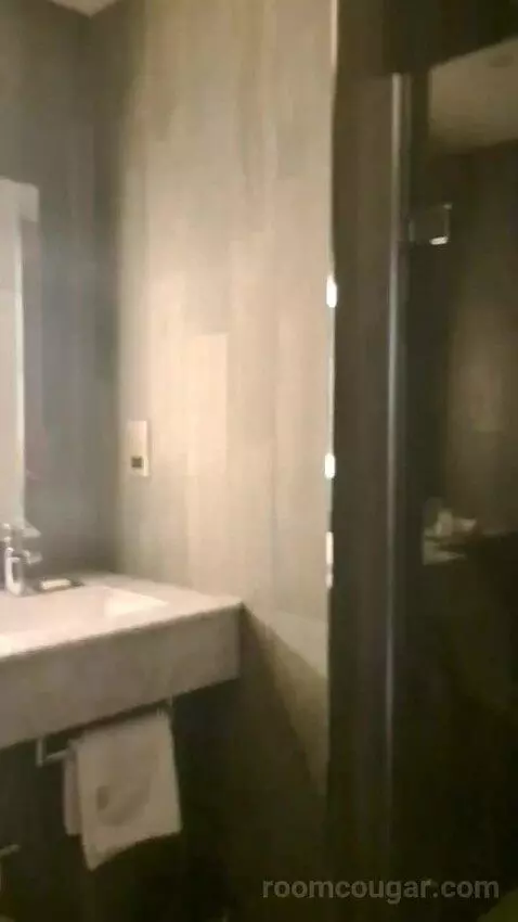 Standard bathroom picture #4