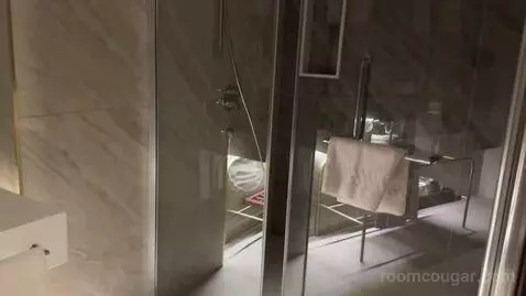 King Room with City View bathroom picture #3