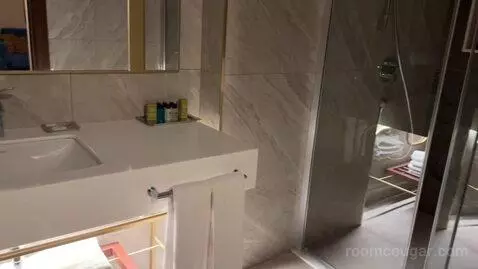 King Room with City View bathroom picture #8