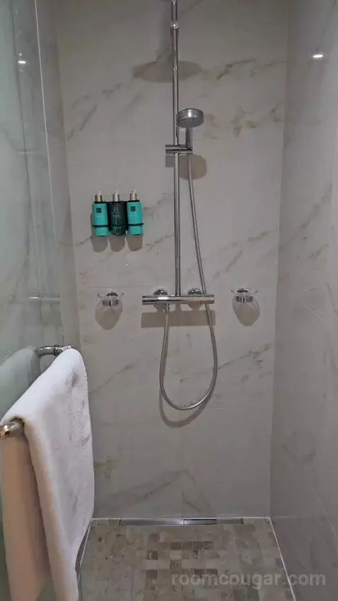 Duplex King Room bathroom picture #7