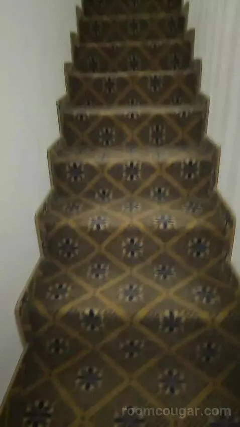 Duplex King Room picture #15