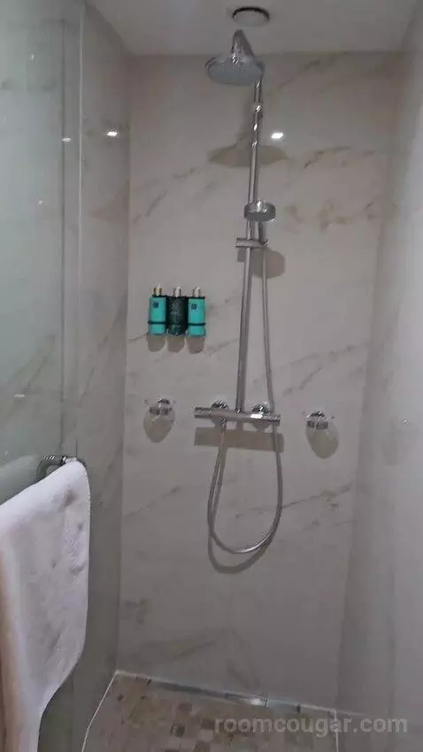 Duplex King Room bathroom picture #5