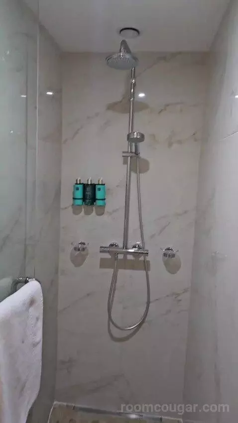 Duplex King Room bathroom picture #6