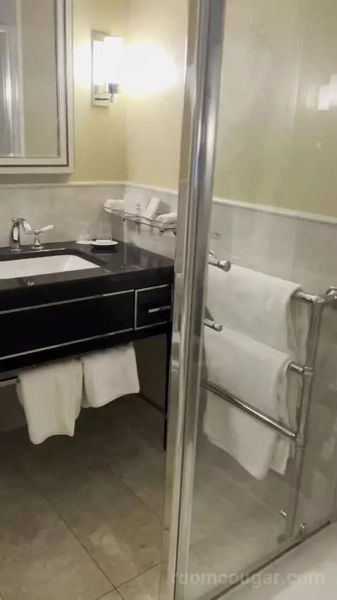 Junior Suite bathroom picture #7