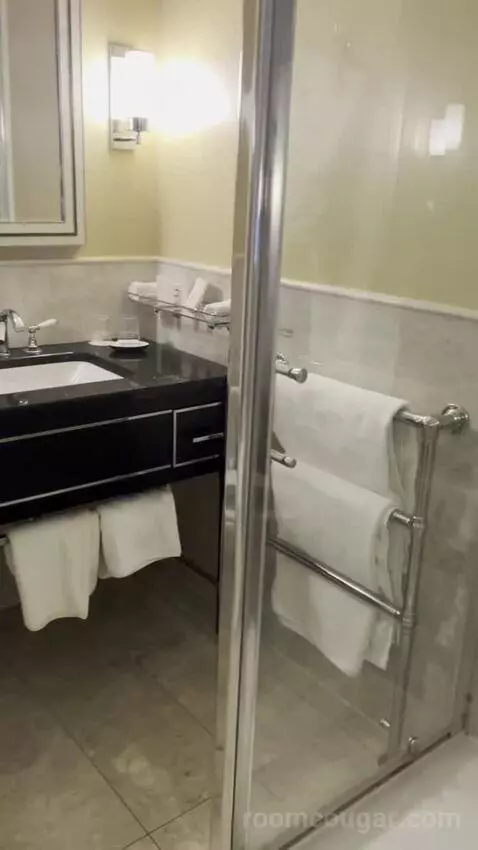 Junior Suite bathroom picture #8