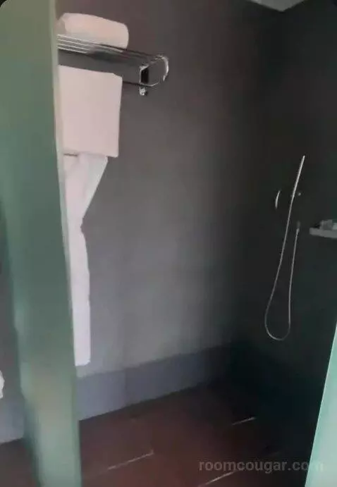 Fabulous King Room bathroom picture #8