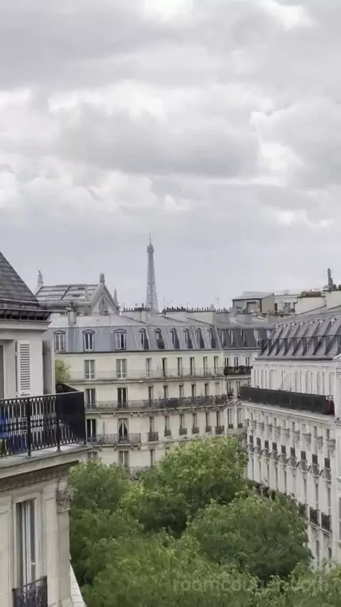 Prestige Room Eiffel Tower View picture #23