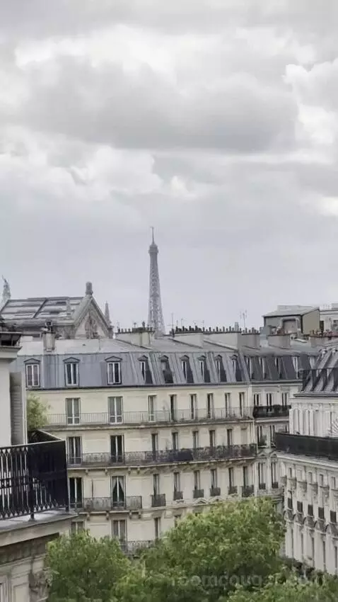 Prestige Room Eiffel Tower View picture #24