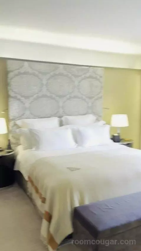 One-Bedroom Premium King Suite bed picture #3