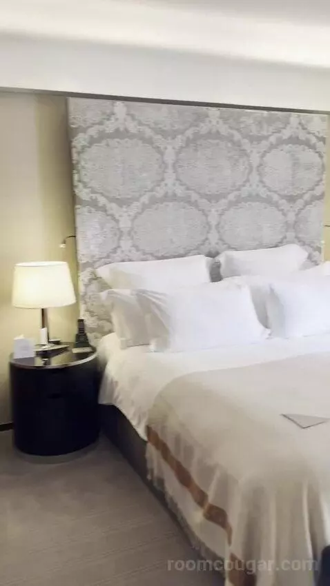 One-Bedroom Premium King Suite bed picture #9