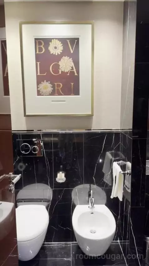 One-Bedroom Premium King Suite bathroom picture #7