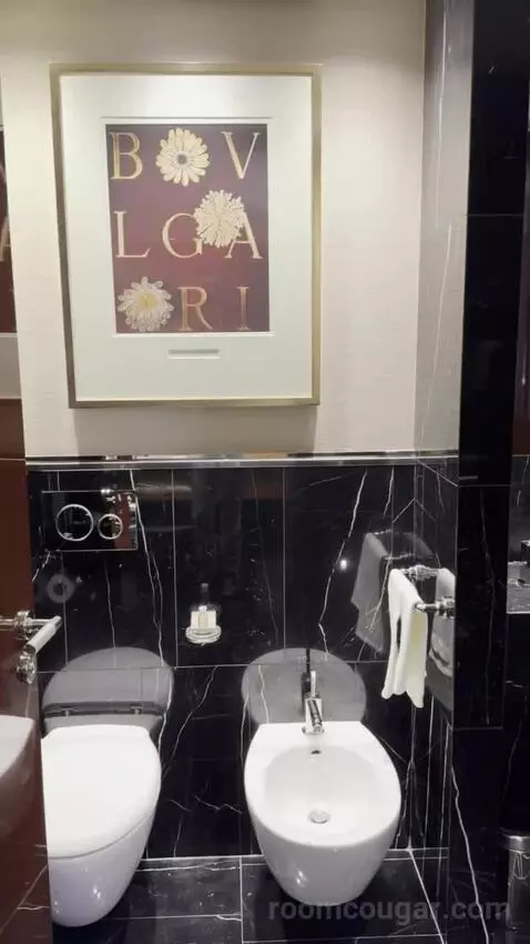 One-Bedroom Premium King Suite bathroom picture #8