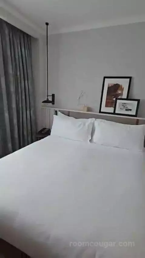 Deluxe King Room bed picture #7