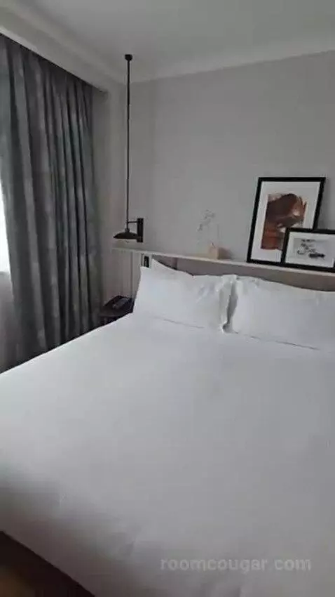 Deluxe King Room bed picture #8